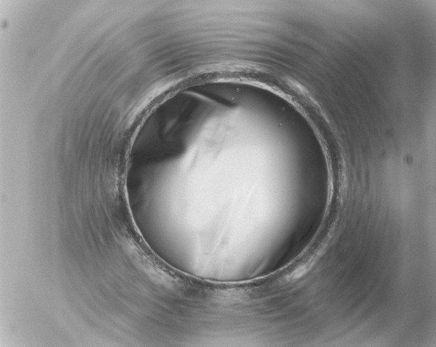 X0000056321017200509092257