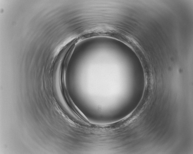 X0000056321018200509092257