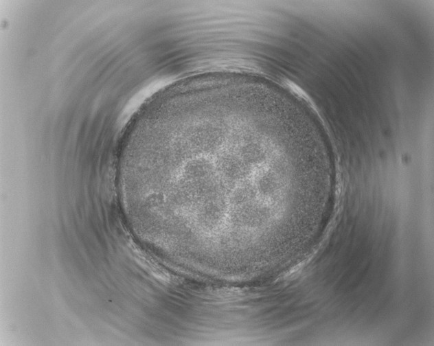 X0000056321019200509092257