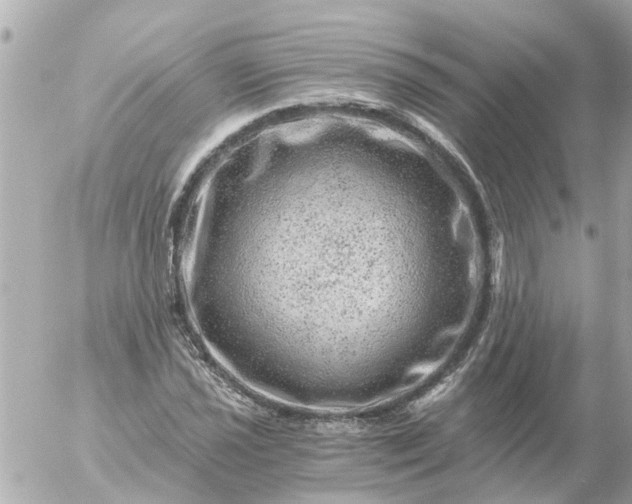 X0000056321021200509092257