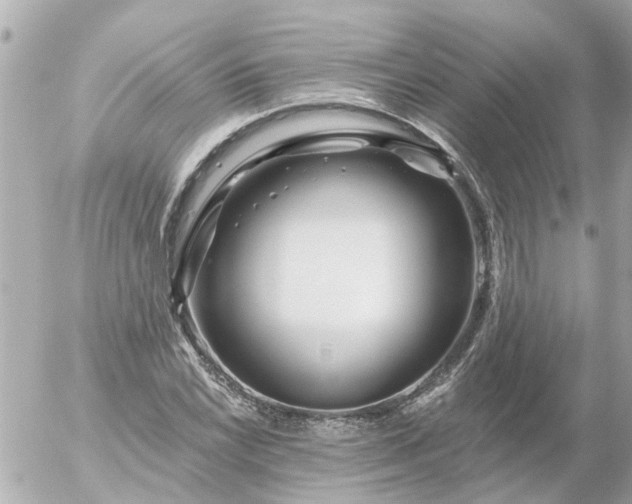 X0000056321022200509092257