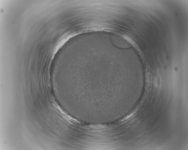 X0000056321023200509092257