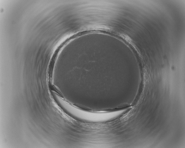 X0000056321024200509092257