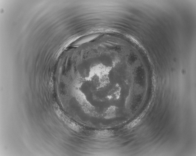 X0000056321025200509092257