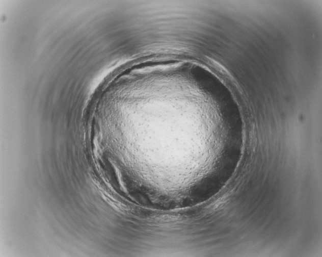 X0000056321027200509092257