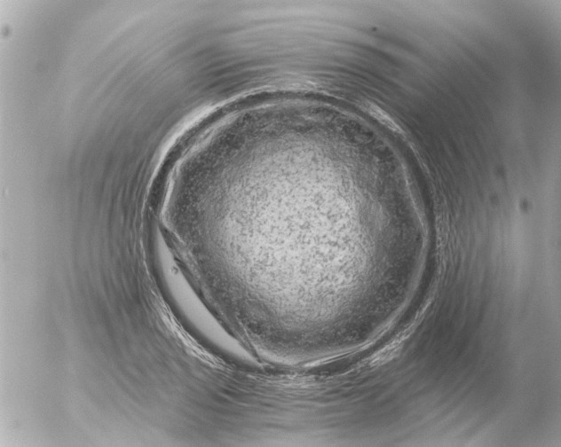 X0000056321029200509092257