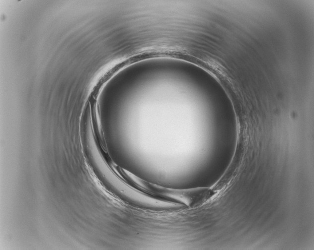 X0000056321030200509092257