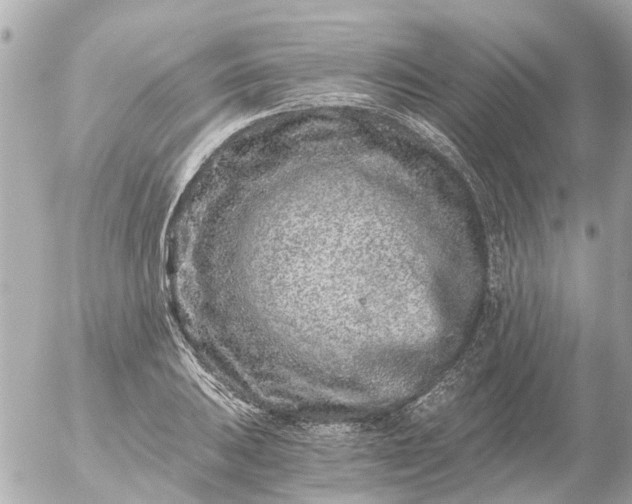 X0000056321031200509092257