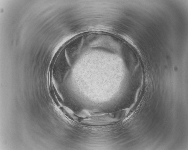 X0000056321032200509092257