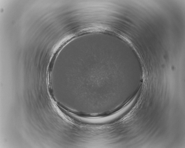 X0000056321034200509092257