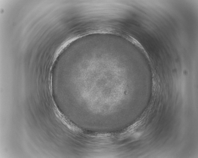 X0000056321035200509092257