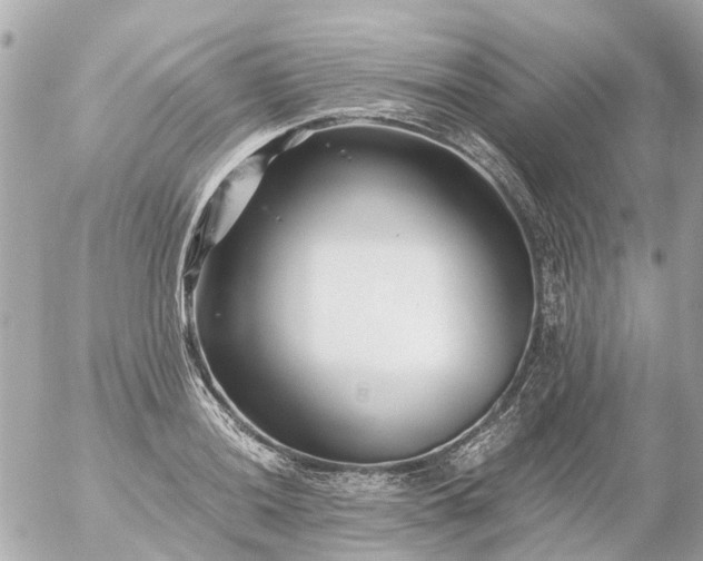 X0000056321036200509092257