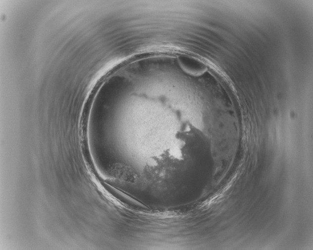 X0000056321037200509092257