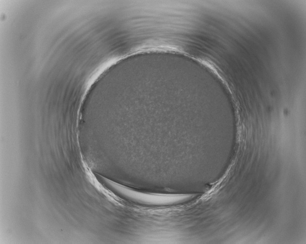 X0000056321038200509092257