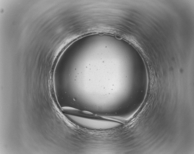 X0000056321040200509092257