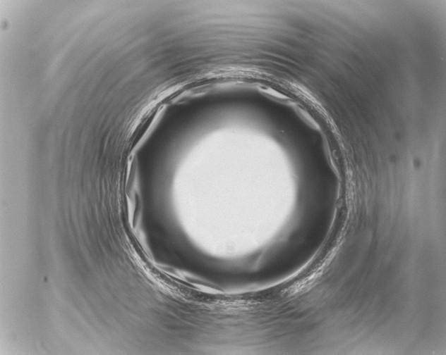 X0000056321041200509092257