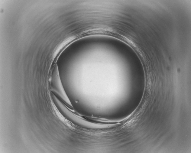 X0000056321042200509092257