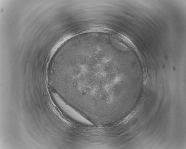 X0000056321043200509092257