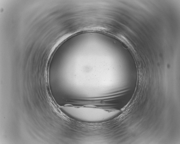 X0000056321044200509092257