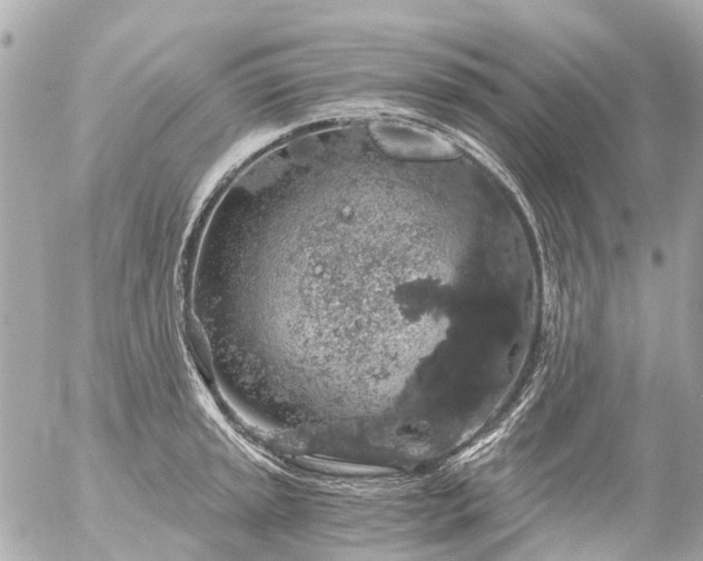 X0000056321045200509092257