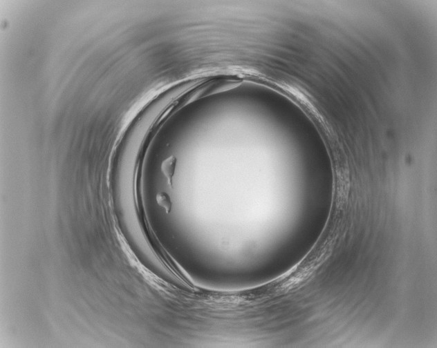 X0000056321046200509092257