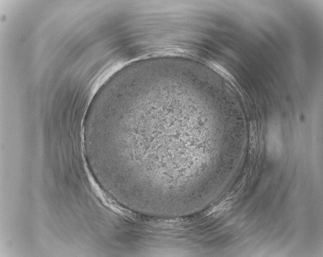 X0000056321047200509092257