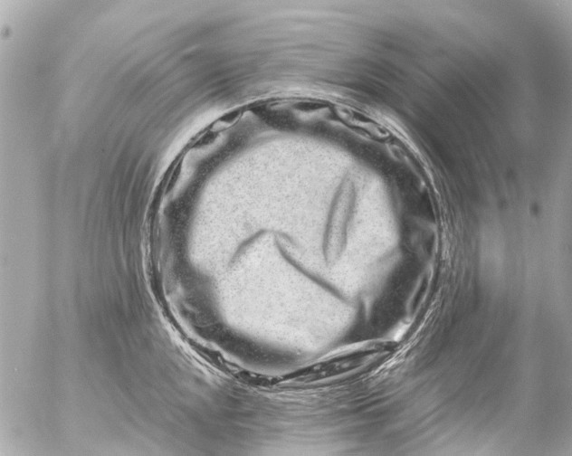 X0000056321048200509092257