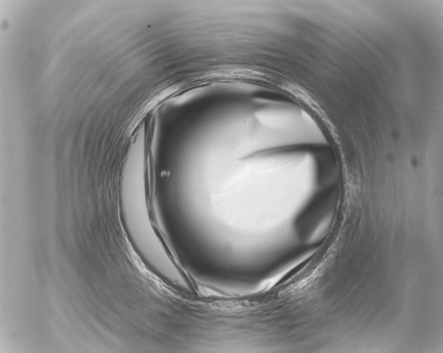 X0000056321049200509092257