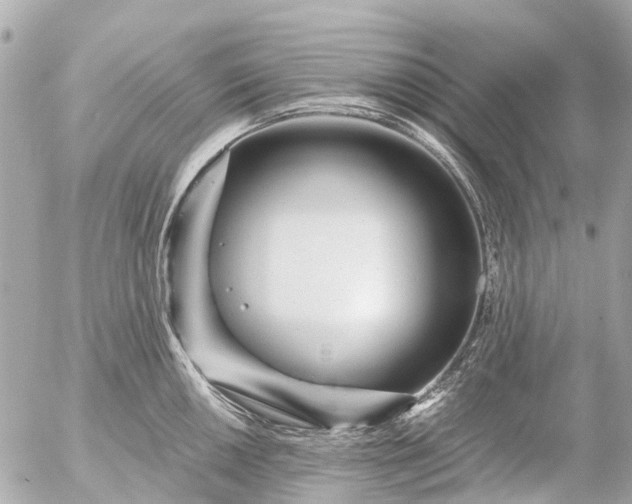 X0000056321050200509092257