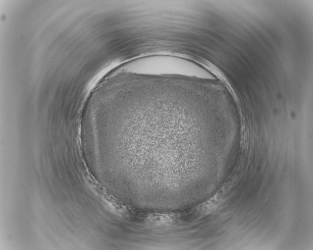 X0000056321051200509092257