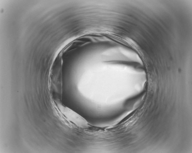 X0000056321052200509092257