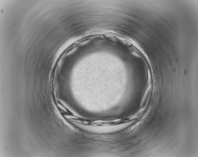 X0000056321053200509092257