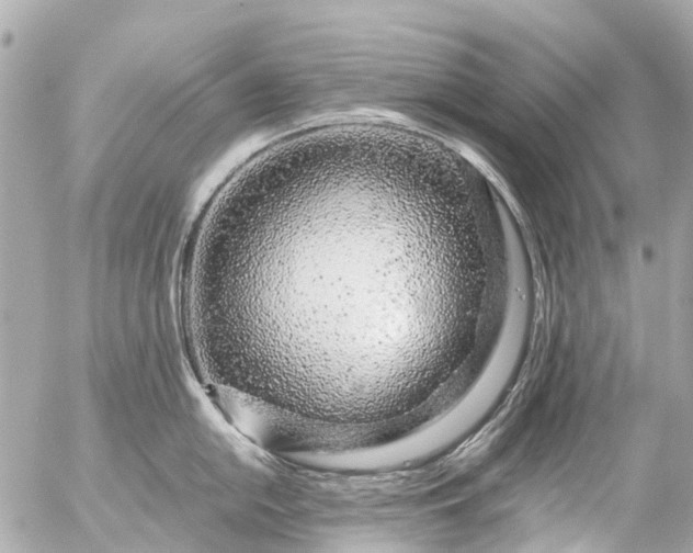 X0000056321054200509092258