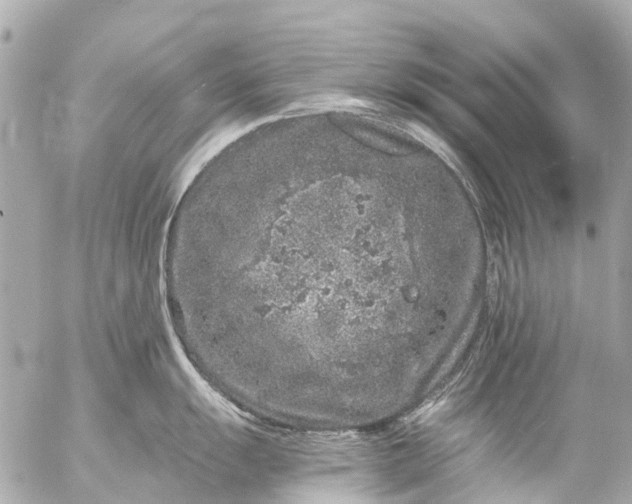 X0000056321055200509092258