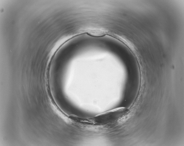 X0000056321056200509092258