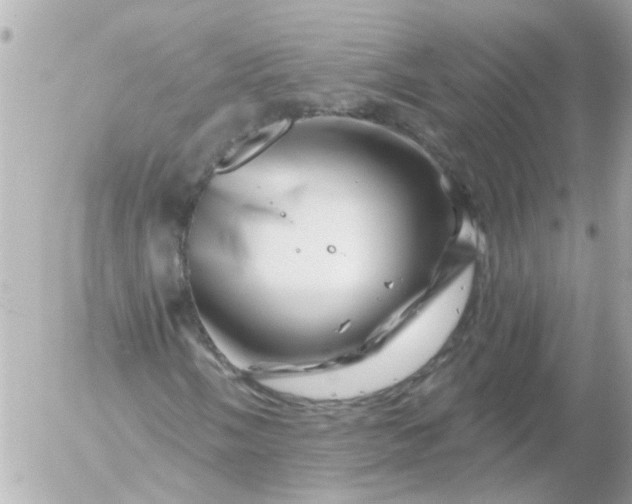 X0000056321058200509092257