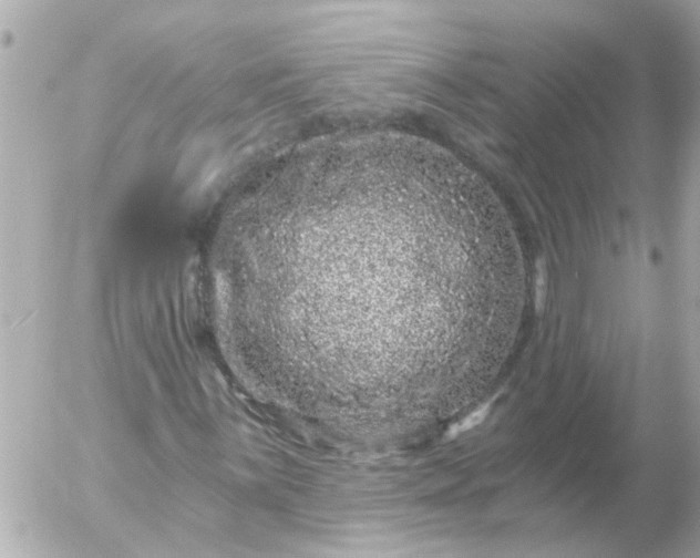 X0000056321059200509092257