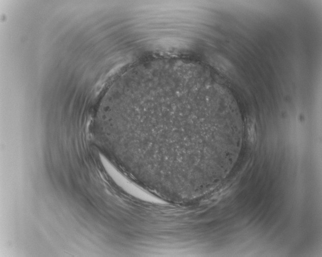 X0000056321060200509092257