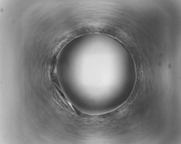 X0000056321061200509092257