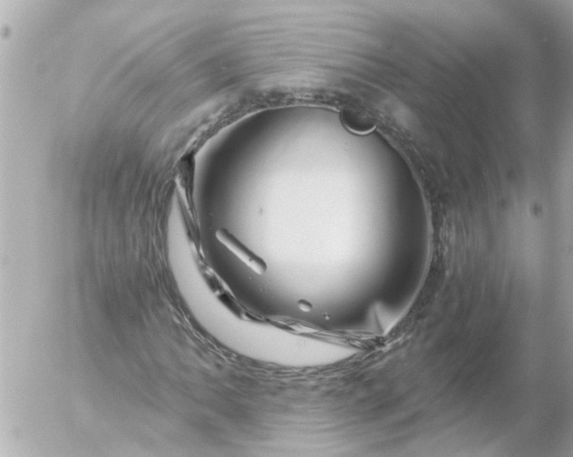 X0000056321062200509092257