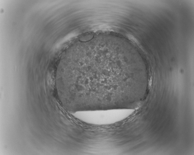 X0000056321063200509092257