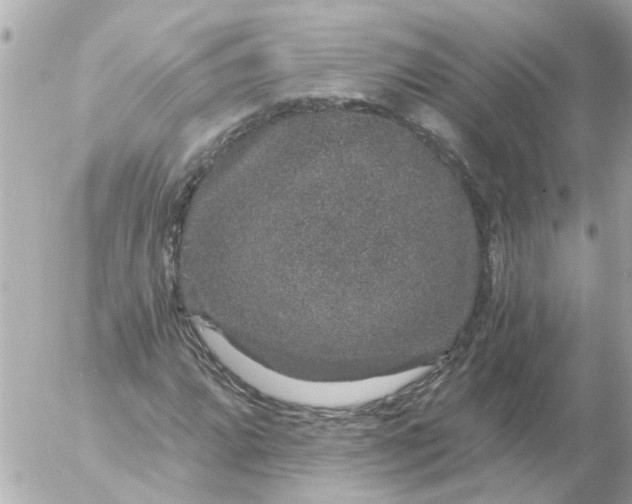 X0000056321064200509092257