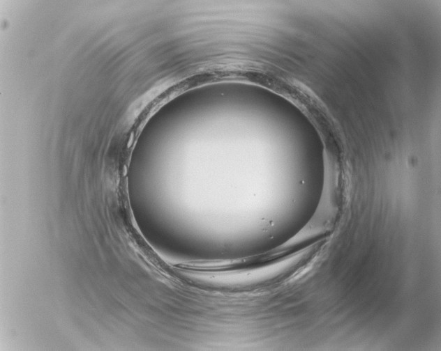 X0000056321065200509092257