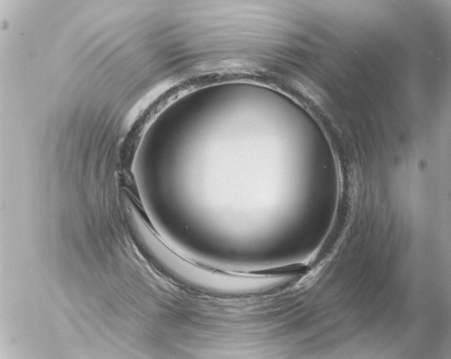 X0000056321066200509092257