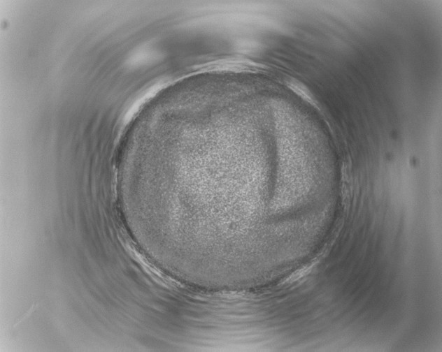 X0000056321067200509092257