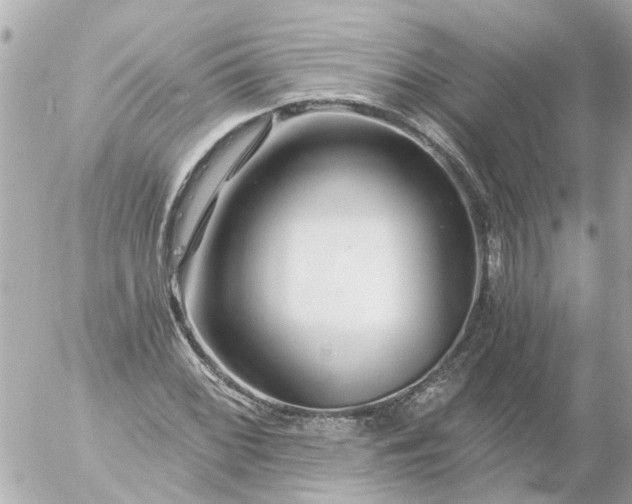 X0000056321068200509092257