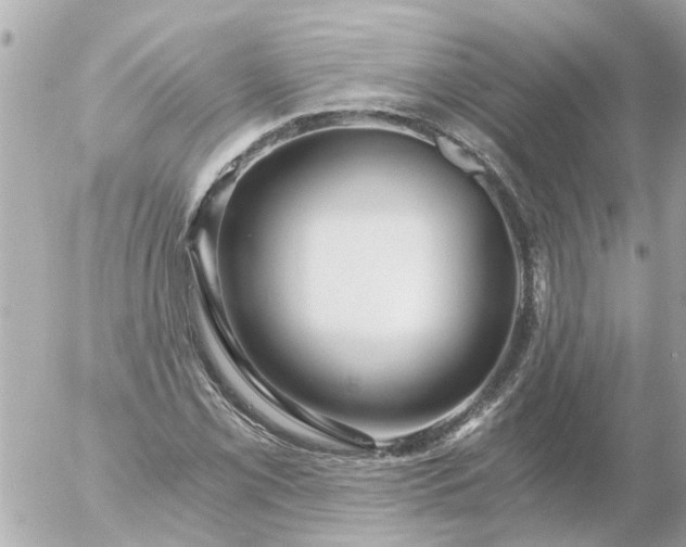 X0000056321069200509092257