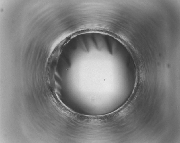 X0000056321070200509092257