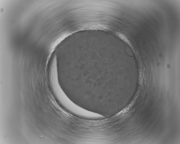 X0000056321071200509092257