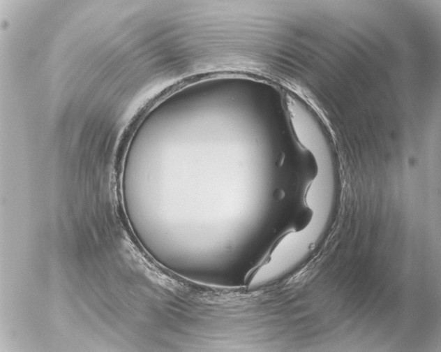 X0000056321072200509092257